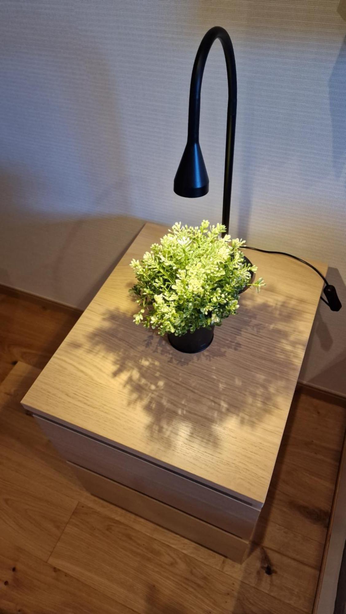狐狸小屋 白马村 外观 照片